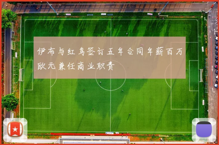 伊布与红鸟签订五年合同年薪百万欧元兼任商业职责