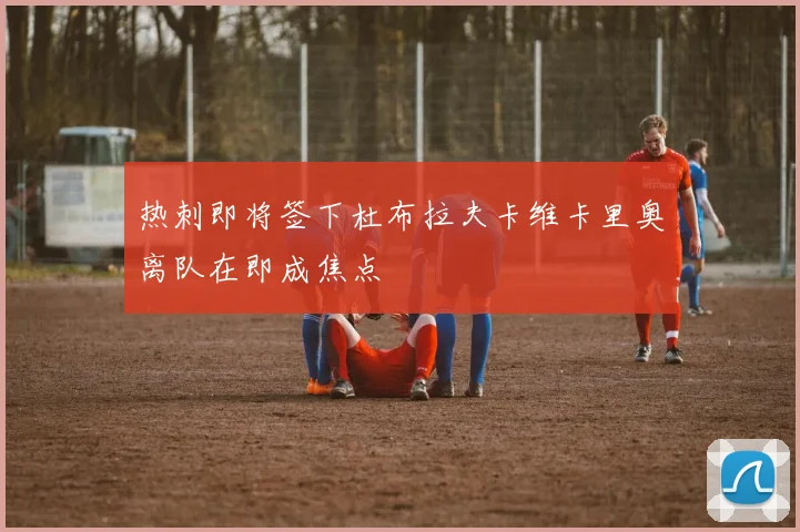 热刺即将签下杜布拉夫卡维卡里奥离队在即成焦点